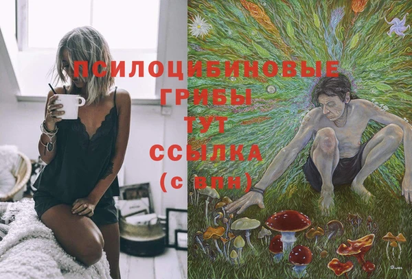 тгк Алзамай