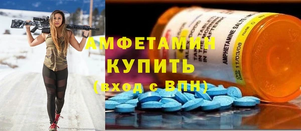 гидра Алексеевка