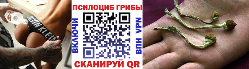 это телеграм  Лукоянов  Галлюциногенные грибы Psilocybe  где купить наркотик 